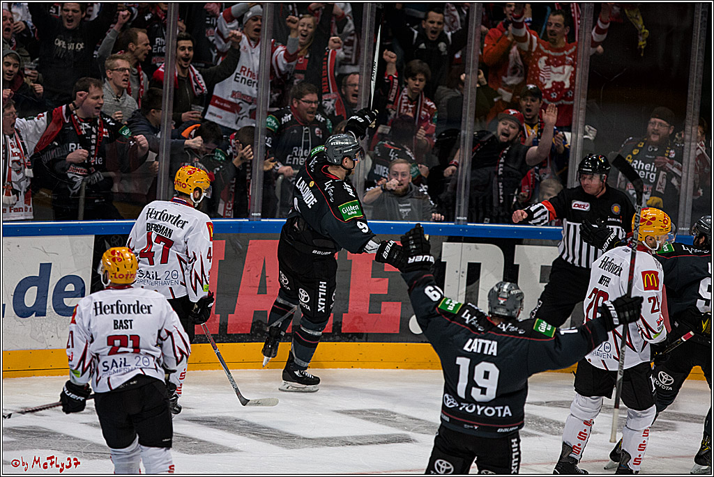 DEL, Koelner Haie - Fishtown Pinguins Bremerhaven, 29.01.2017